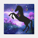 Search for dreamcatcher magnets Colourful