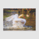 Search for swan tissue paper Animal