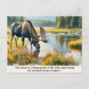 Search for nature quote postcards Watercolor