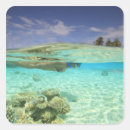 Search for snorkel stickers Coral