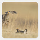 Search for loup stickers Calamus