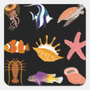 Search for marine fish stickers Animals