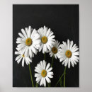 Search for center posters Floral