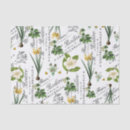 Search for daffodil tissue paper Floral