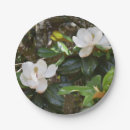 Search for magnolia paper plates Summer