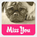 Search for missing you greeting Puppies