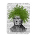 Search for ferns magnets Plant