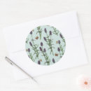Search for lavender herb stickers Watercolor