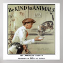 Search for be kind to animals posters Cat