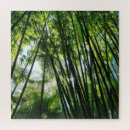 Search for bamboo puzzles Jungle