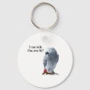 Search for african grey accessories Bird