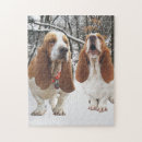 Search for basset hound puzzles Dog