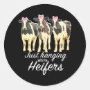 Search for heifer stickers Cattle