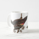 Search for red wing mugs Birds