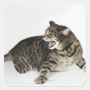 Search for hissing stickers Animal