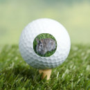 Search for rabbit golf balls Nature