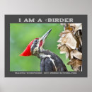 Search for birder posters Nature photography