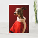 Search for father christmas cards Santa claus