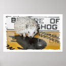 Search for critter posters Hedgehog