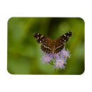 Search for crescent magnets Nature
