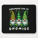 Search for gnomies electronics Irish