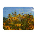 Search for summertime magnets Floral