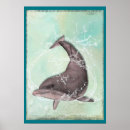 Search for marine creatures posters Dolphin