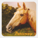 Search for blaze stickers Horse portrait