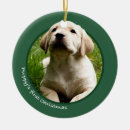 Search for yellow labrador christmas tree decorations Puppy