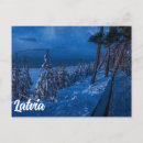 Search for forest path postcards Blue