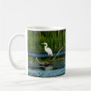 Search for egrets mugs Lake