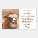 Search for alpacas stickers Animal