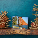 Search for danita delimont plaques Rona schwarz