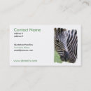 Search for zebra business cards Wildlife