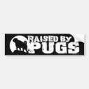 Search for black pug Pugs