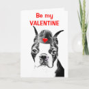 Search for boston terrier valentines day cards Funny