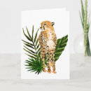 Search for wild animal cards Wildlife
