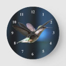Search for hummingbirds clocks Ruby throated hummingbird