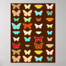 Search for aqua butterflies posters Turquoise