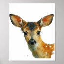 Search for fawns posters Woodland