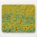 Search for crop mousepads Photography