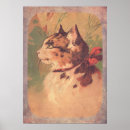 Search for pretty kitty posters Cat