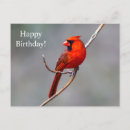 Search for bird tree cards Birding
