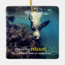 Search for sea lion christmas tree decorations Wildlife