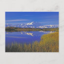 Search for north america postcards Alaska