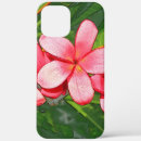 Search for pink plumeria iphone cases Nature