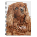 Search for cocker spaniel notebooks Animal