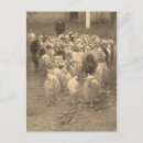 Search for shepard postcards Animal
