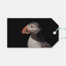 Search for puffin crafts party Seabird