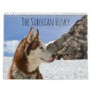 Search for husky calendars Snow